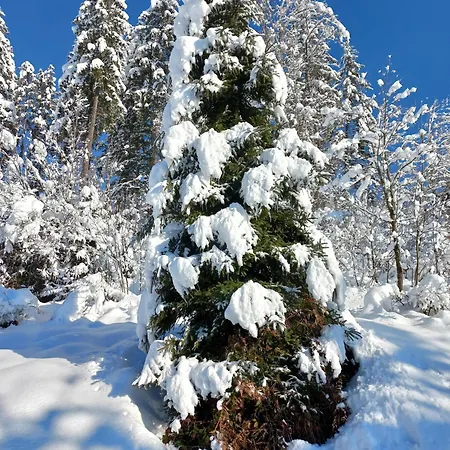 Farmház Kant Fieberbrunn