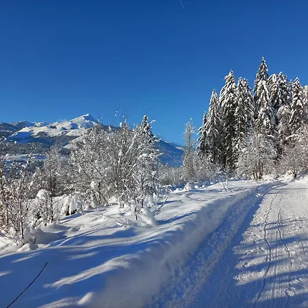 Farmház Kant Fieberbrunn