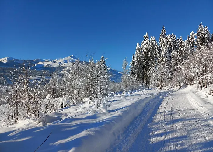 Farma Kant Fieberbrunn