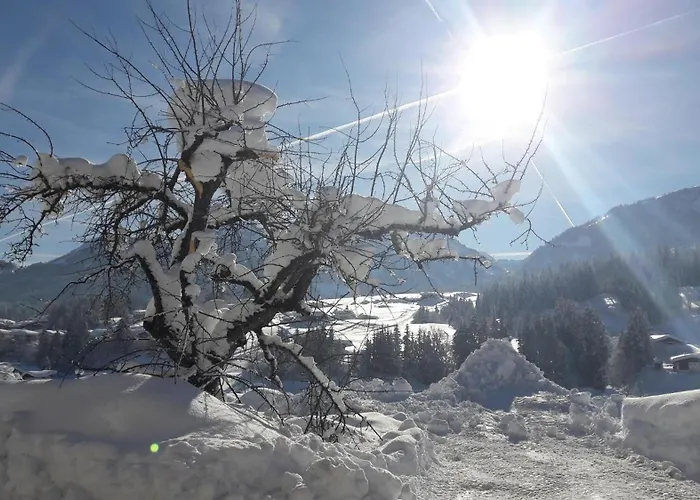 مزرعة للإقامة Kant *