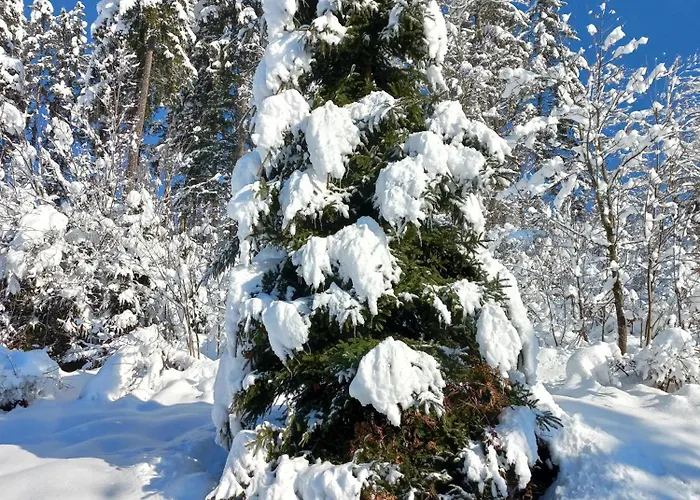 مزرعة للإقامة Kant فيبربرن